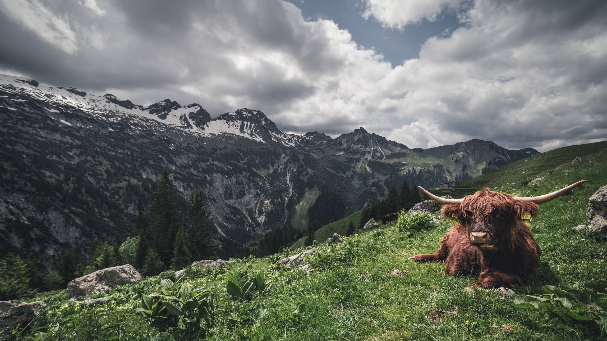 传奇回归：退役球员再次踏上篮球赛场，传奇篮球运动员有哪些
