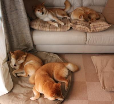 爱游戏体育官方在线-伊朗队在巴黎奥运会比赛中多次通过快速反击得分，伊朗奥运会拿过金牌吗