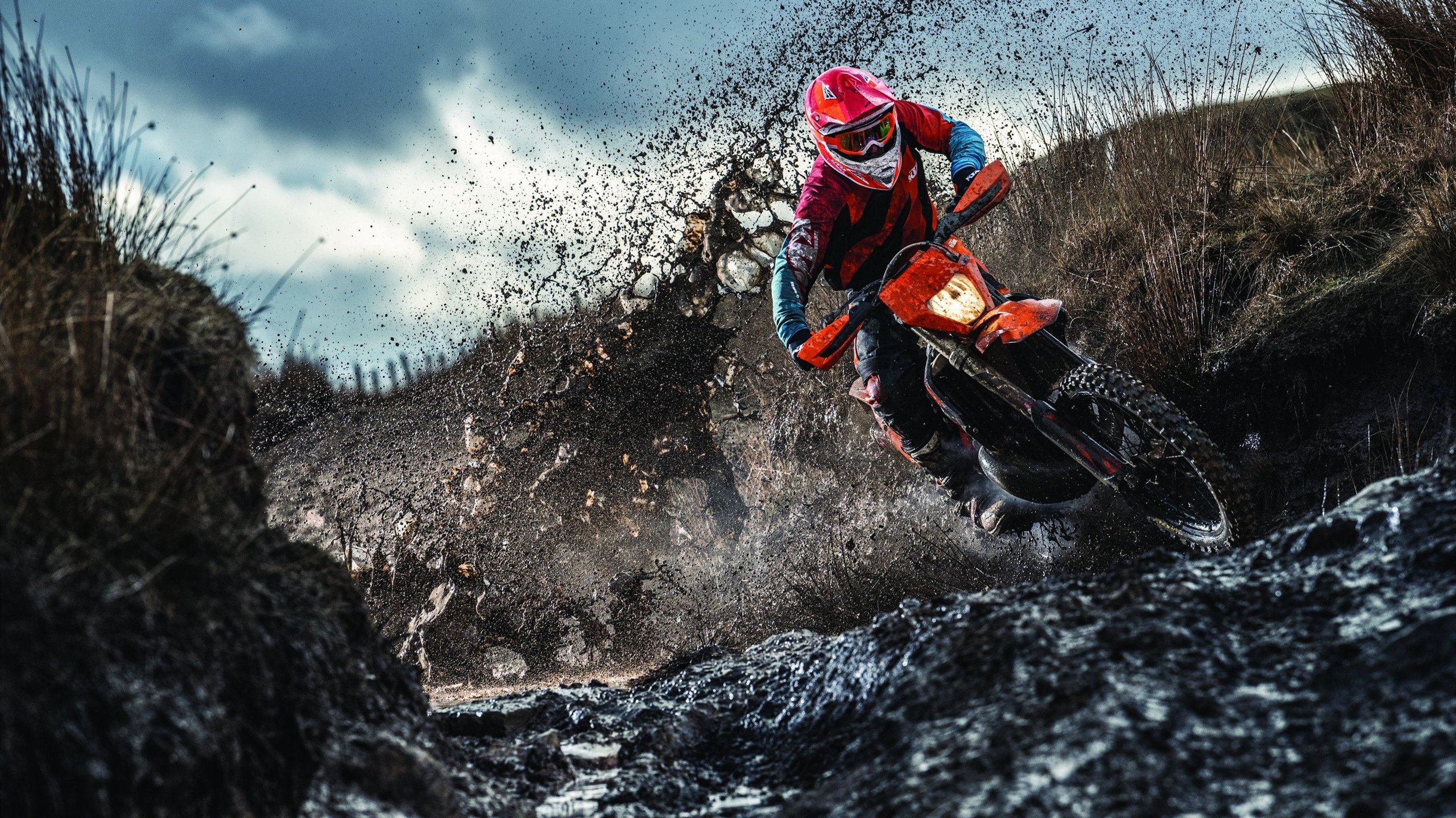 数字体育产业政策利好带动行业高速增长，创新驱动明显，数字体育产业发展